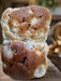 Miami Bake Shoppe New York Style Onion Rolls. Onion Rolls Miami Bake Shoppe