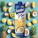 Santàl Pineapple Coconut 1000ml (2 x 1L) Made in Italy. Beverage Santàl